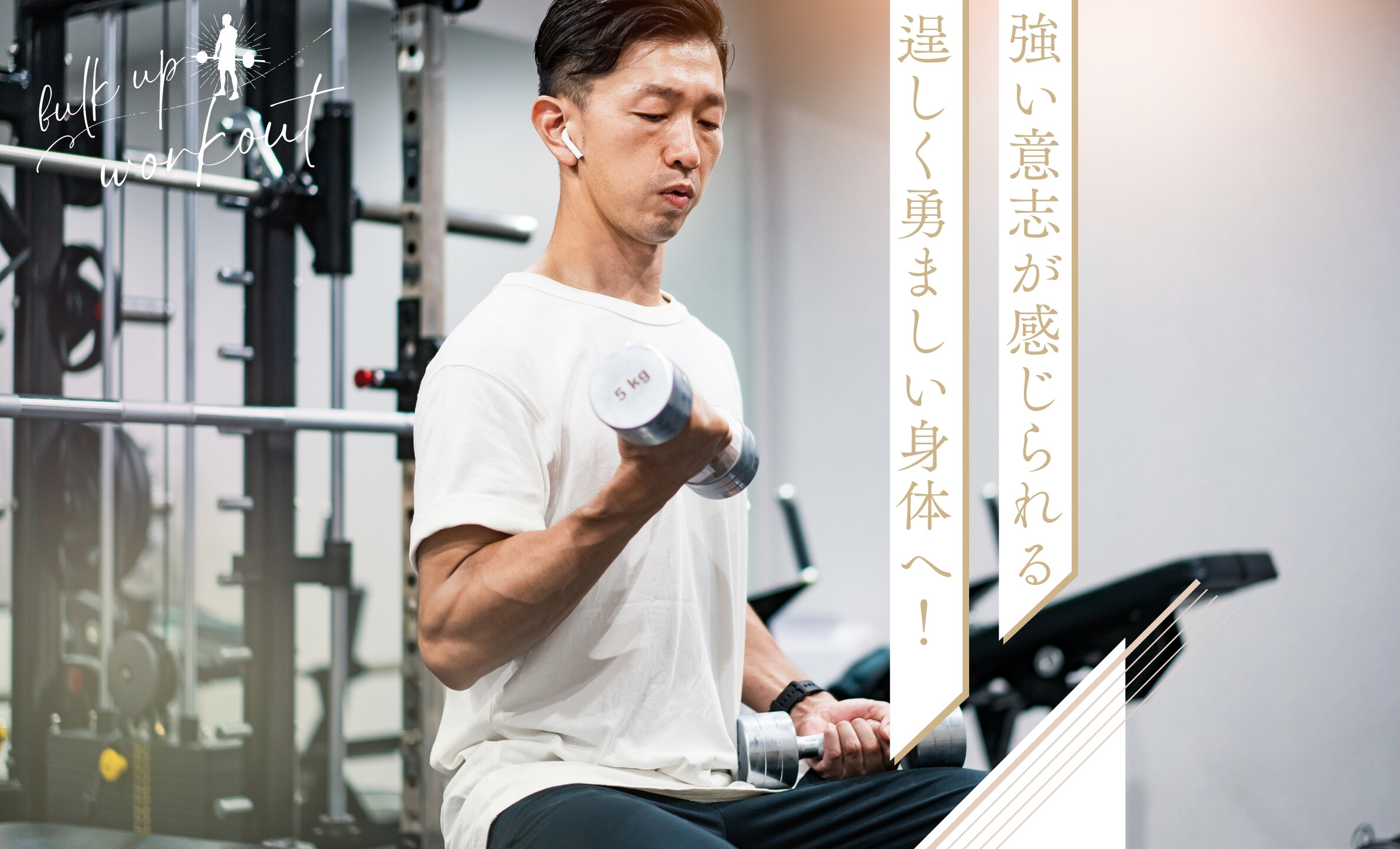 バルクアップコースヘッダー画像
